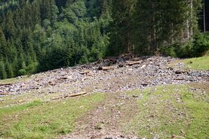 Mure Untertal-098-2026-06-30.jpg
