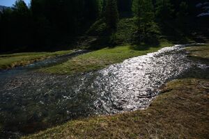 Obertalbach keinprecht 0553 2008-06-01.jpg