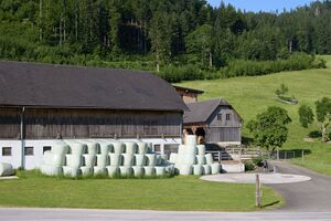 Peterbauer Breitau-0165-2025-06-18.jpg