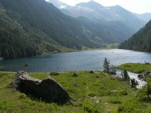 Riesachsee 12650 2006-06-25.jpg