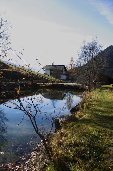 Datei:Almseeteich burgstaller 13940 2015-11-12.jpg