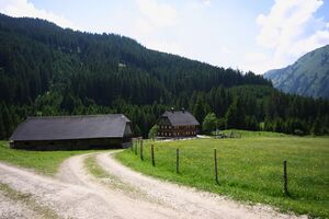 Beireutalm 90078 2015-06-08.jpg