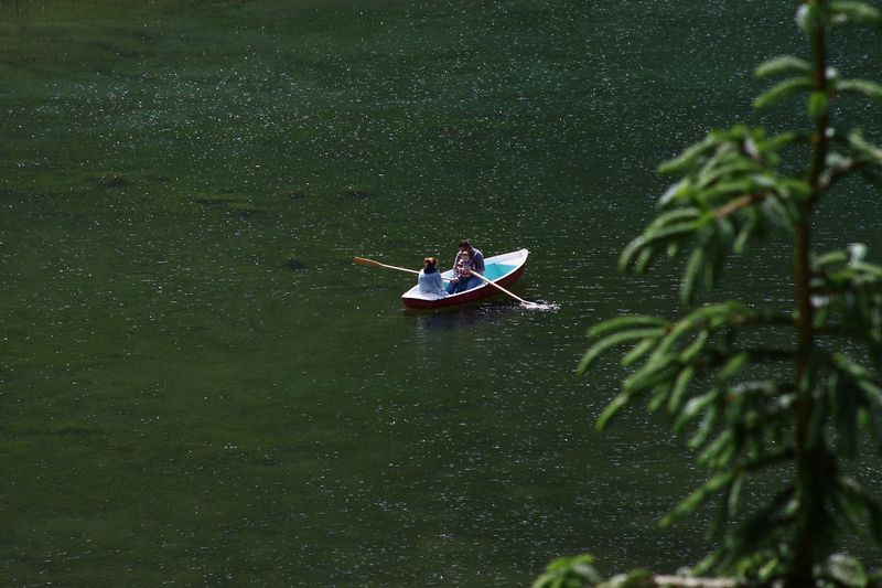 Datei:Bodensee seewigtal 63528 2014-06-21.jpg