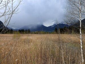 Frauenberger Torfstich0313.JPG