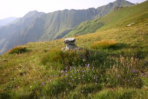 Glattjoch 1214 13-08-06.jpg