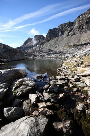 Goldlacken 0261 2013-10-08.jpg