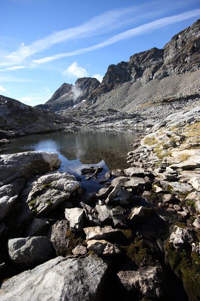 Datei:Goldlacken 0261 2013-10-08.jpg