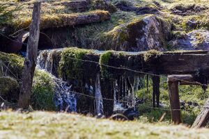 Granglalm steinriesental-14-2020-04-06.jpg