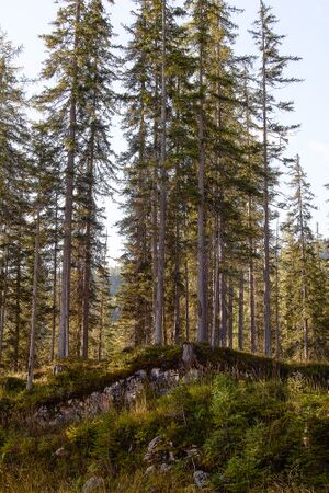 Grausen Straßen-BA-0041-2023-09-17.jpg