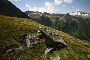 Im Hüttkar 39601 2012-06-29.jpg