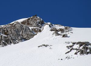 Kl.grafenberger miesberg-13-2009-04-01.jpg
