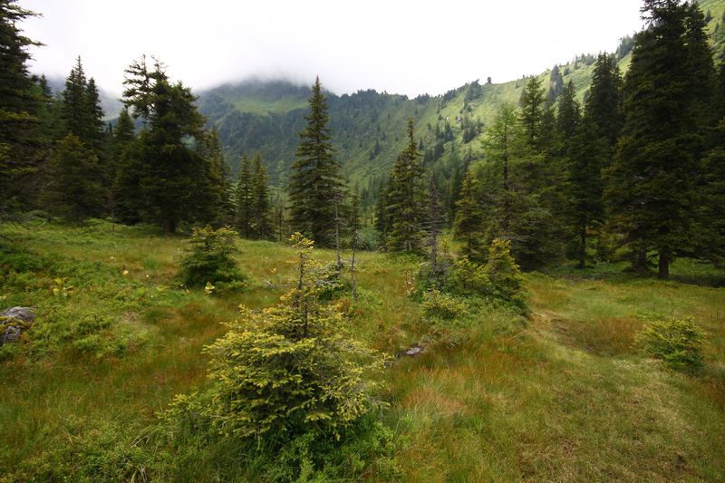 Datei:Knallkar großsölk 55616 2016-08-17.jpg