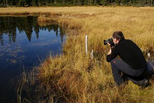 Miesbodensee 40540 2012-10-05.jpg