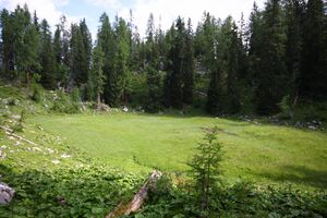 Prechtelsboden- kemetgebirge 96961 2015-07-16.jpg