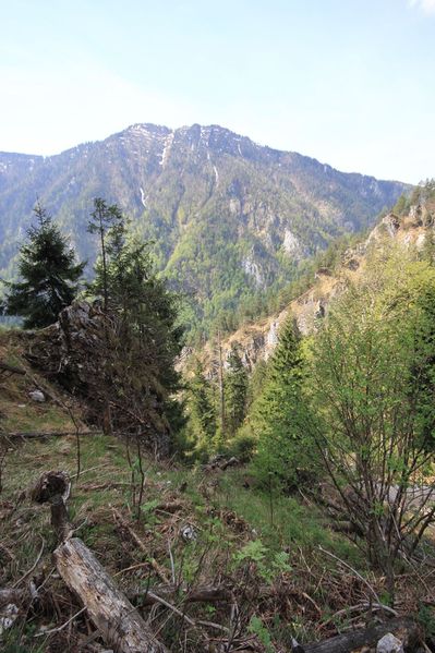 Datei:Wasserlochklamm palfau 70445 2018-04-23.jpg