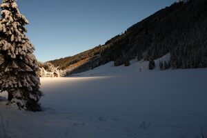 Bodensee 26510 2014-01-01.jpg