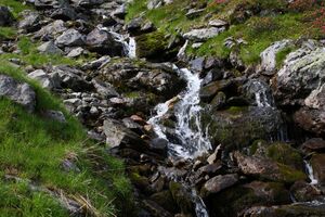 Herzmaierkar 32475 2011-07-06.jpg