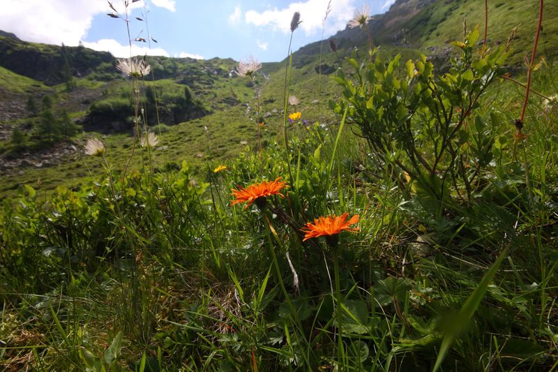 Datei:Herzmaierkar 32593 2011-07-06.jpg