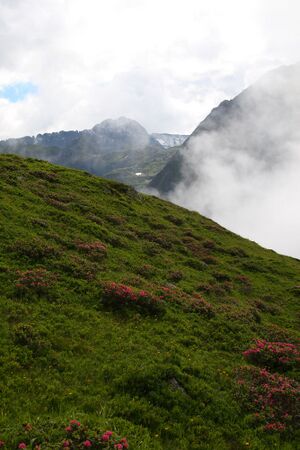 Im stegerkar 23897 2008-07-09.jpg