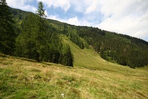 Knallalm 32893 2016-08-17.jpg