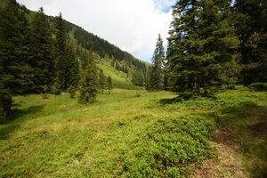 Knallkar großsölk 55621 2016-08-17.jpg