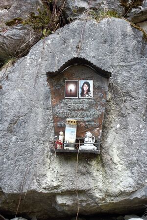 MA-sarah schwarzbauer DBwald 62365 2017-10-26.jpg