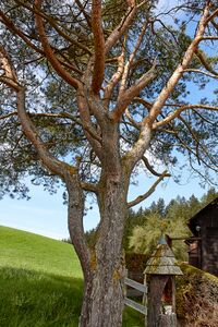 MA vlg gatschenberger-0006-2023-05-04.jpg