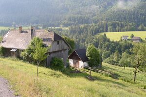 Pötsch vlg Magerl-0530-2023-06-09.jpg