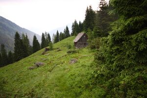 Schwarzaalm 1629 13-07-10.jpg