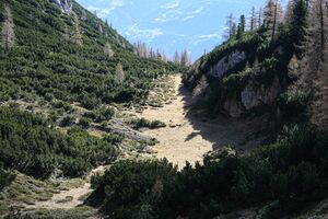 Senfkar luseralm 13478 2015-11-11.jpg