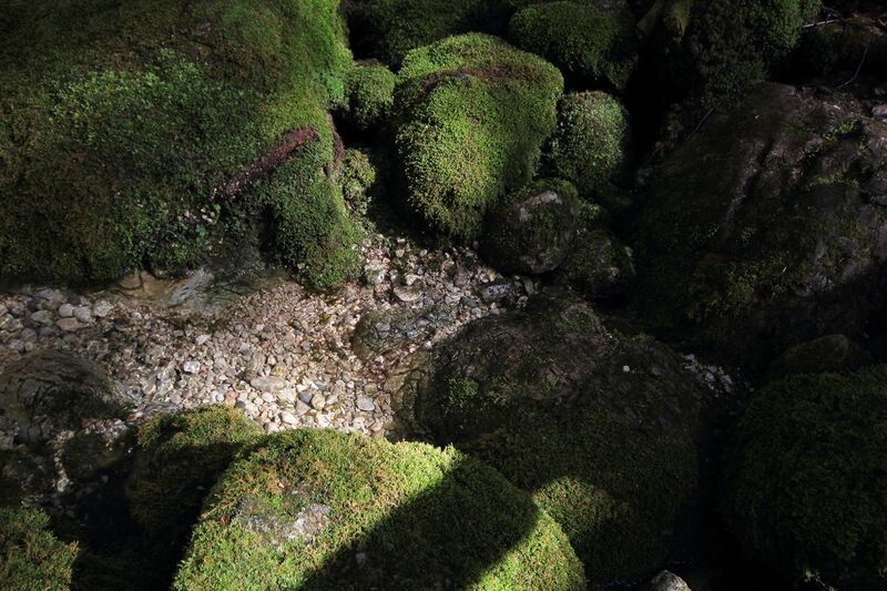 Datei:Strummern mühlreith 47187 2017-05-17.jpg