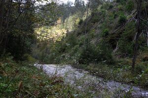 Teufelsschlucht Seewigtal 73306 2014-10-02.jpg