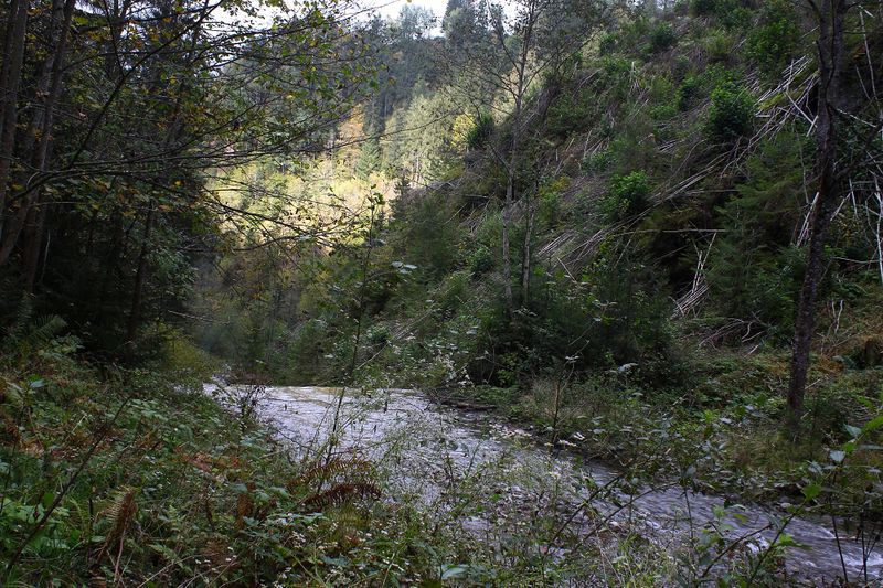 Datei:Teufelsschlucht Seewigtal 73306 2014-10-02.jpg