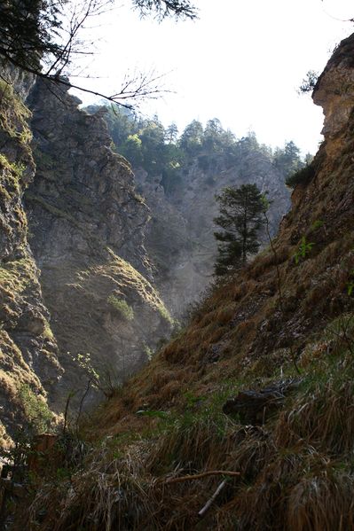 Datei:Wasserlochklamm palfau 70331 2018-04-23.jpg