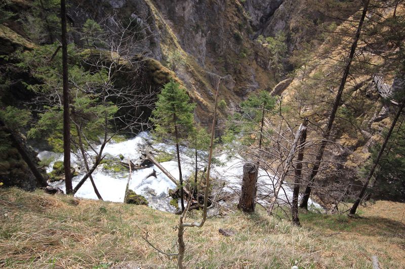 Datei:Wasserlochklamm palfau 70516 2018-04-23.jpg