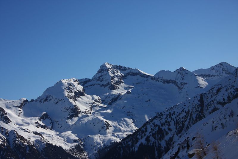 Datei:Wildkar 45001 2014-03-09.jpg