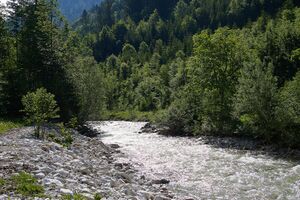 Die grimming gnanitz-0086-2024-06-05.jpg