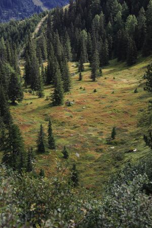 Jausenkogel ost 56281 2017-08-23.jpg