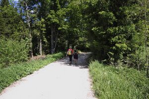 Krautmoosweg badM 48557 2017-05-27.jpg