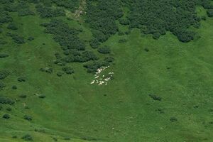 Mößnakar 0840 13-07-12.jpg