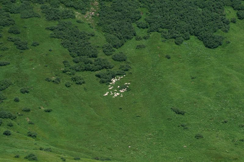 Datei:Mößnakar 0840 13-07-12.jpg