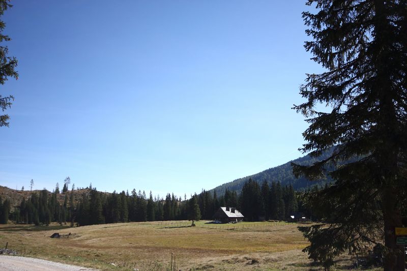 Datei:Miesboden 40646 2012-10-05.jpg