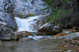 Rössingbach 1833 13-07-21.jpg