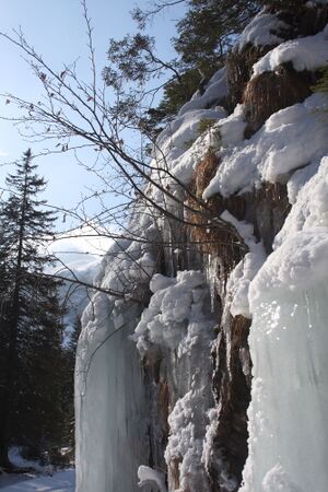 Steinriesental 0219 2011-03-02.jpg