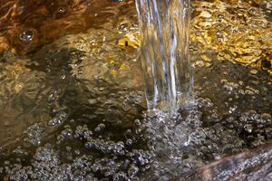 Stoderbrünnl-0077-2021-05-11 10.13.20.jpg