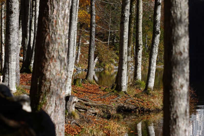 Datei:Toplitzsee 78108 2014-11-03.jpg