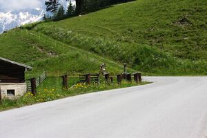 Alpentourtrophy 2014 60186 2014-06-12.jpg