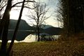 Altausseer See 78874 2014-11-15.jpg