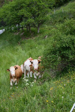 BH Poserer-0398-2023-05-27.jpg