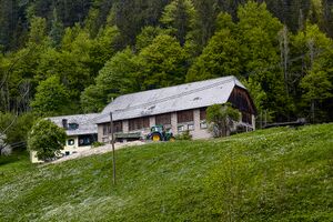 BH finsterberger johnsbach-2003-2020-05-18.jpg